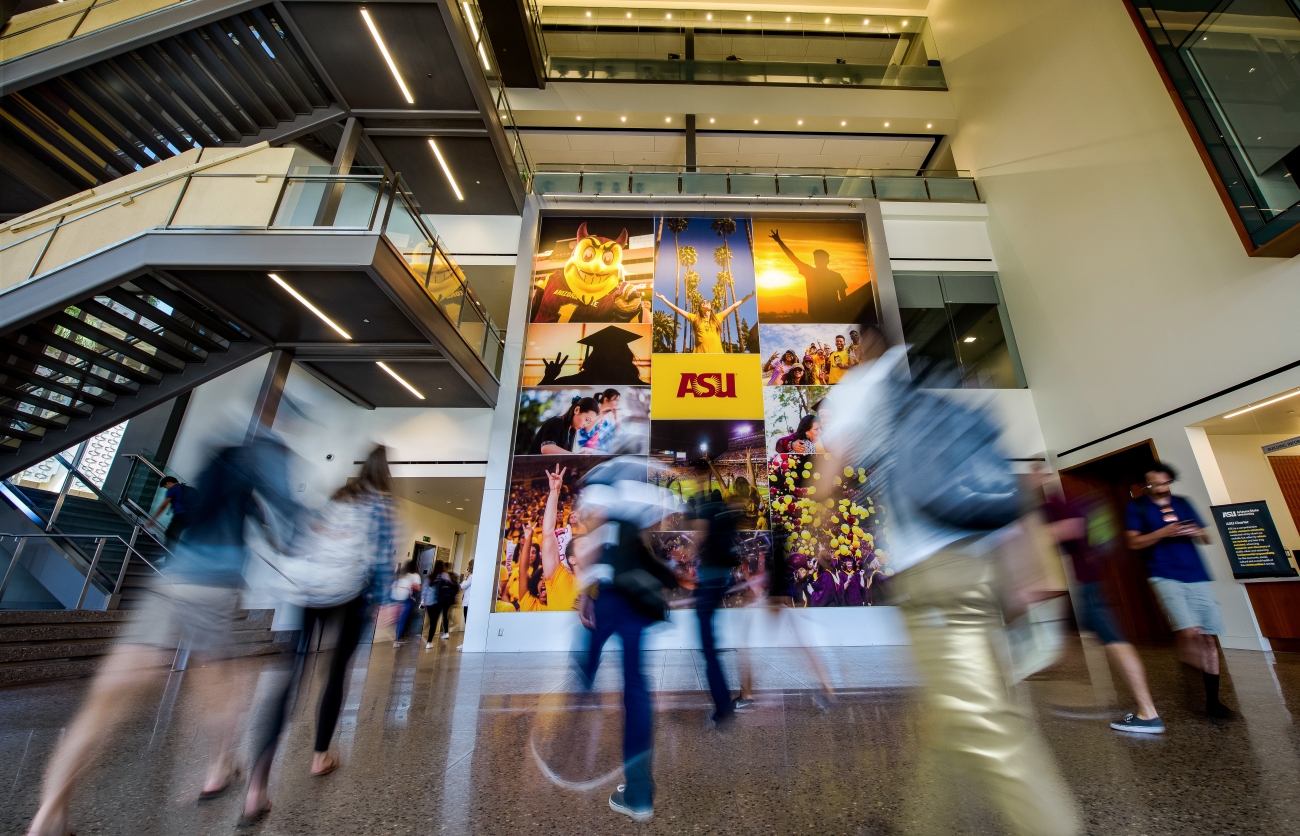 Undergraduate Advising